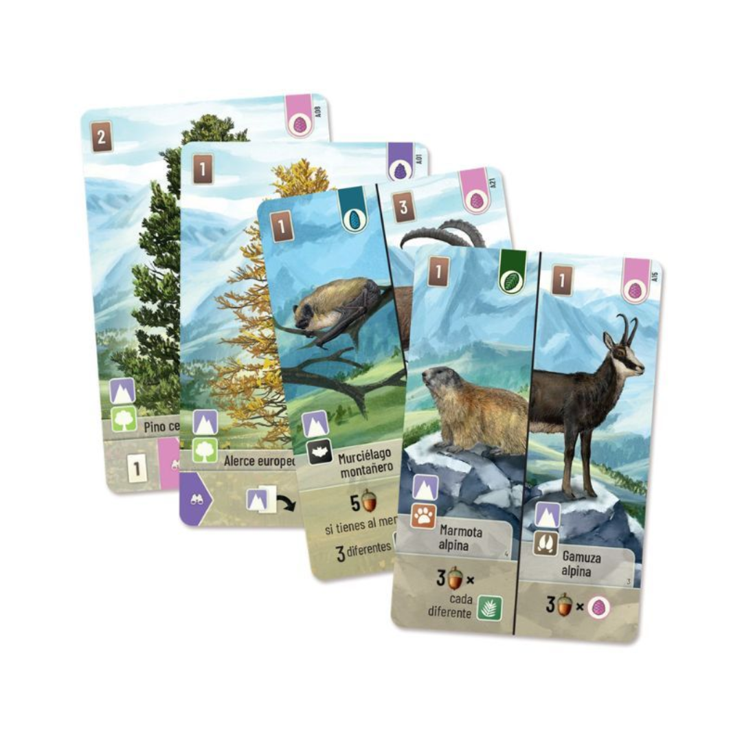 Forest Shuffle - Cumbres Alpinas