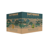 Earthborne Rangers - Protectores del Valle