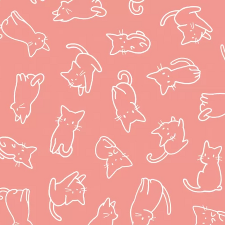 Playmat Kittens In Pink